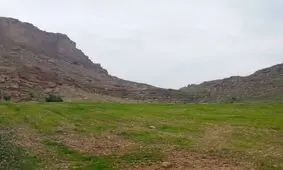 هفت هکتار از اراضی ملی گتوند خلع ید شد