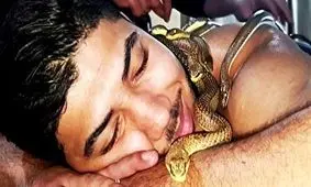 ماساژ با مار!/ ویدئو