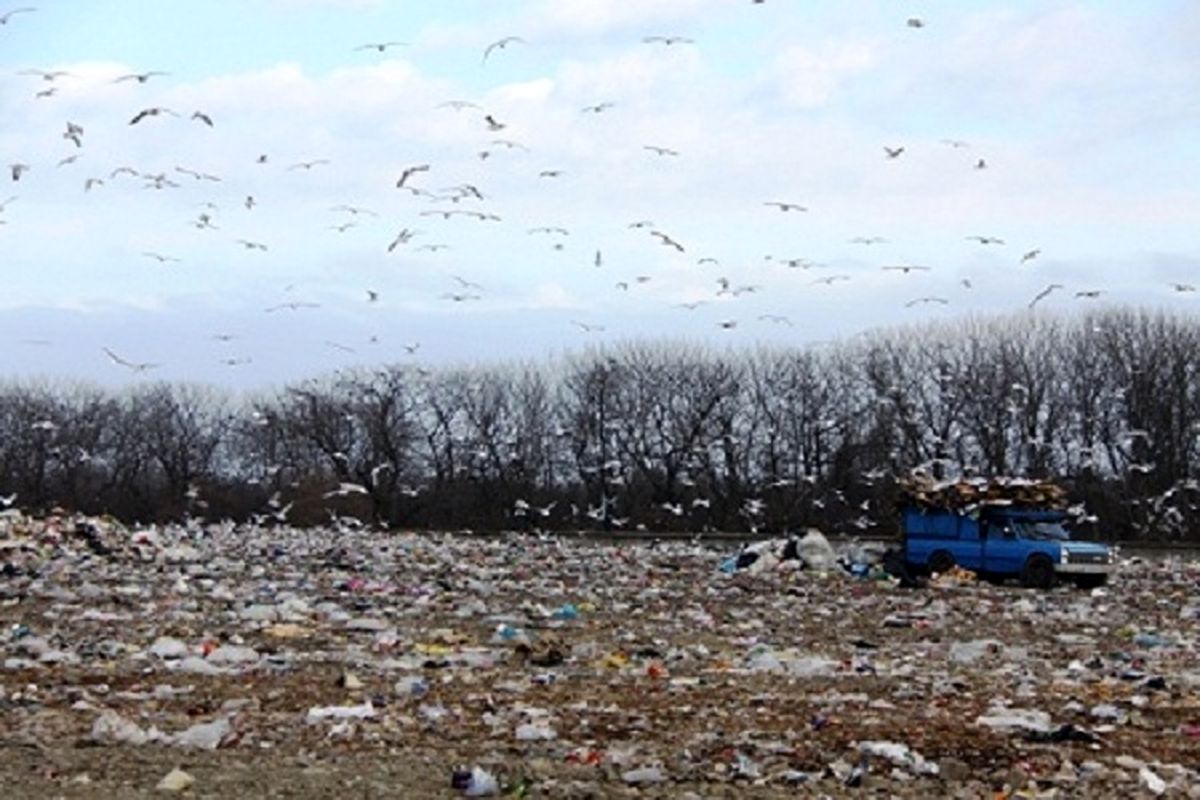 معاون وزیرکشور: شیرابه زباله درشهرهای شمالی محیط زیست را تهدید می کند
