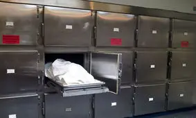 زنده شدن در سردخانه