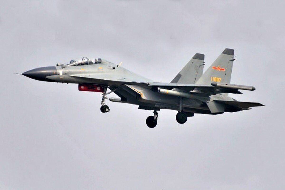 چند پرنده هواپیمای نظامی چینی را سرنگون کردند/ ویدئو