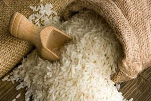 صادرات ۴۸۰۰ کیلوگرم برنج از بهشهر به قزاقستان
