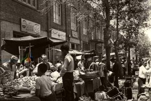 چرا فروشِ میوه و تره‌بار در ایران کیلویی شد؟