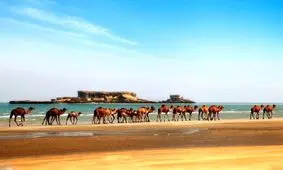 سفر به جزایری که ساحل شنی ندارد/ امکان راه رفتن روی آب در منطقه «ناز»!