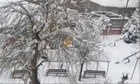 زمستان ایران پربرف است