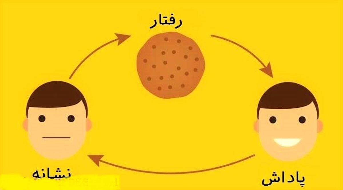 چگونه بر عادتهای بد خود غلبه کنیم؟