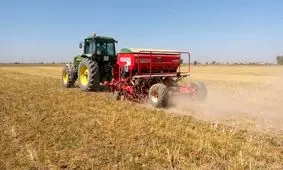 کشت مستقیم برنج برای نخستین بار در دزفول انجام شد