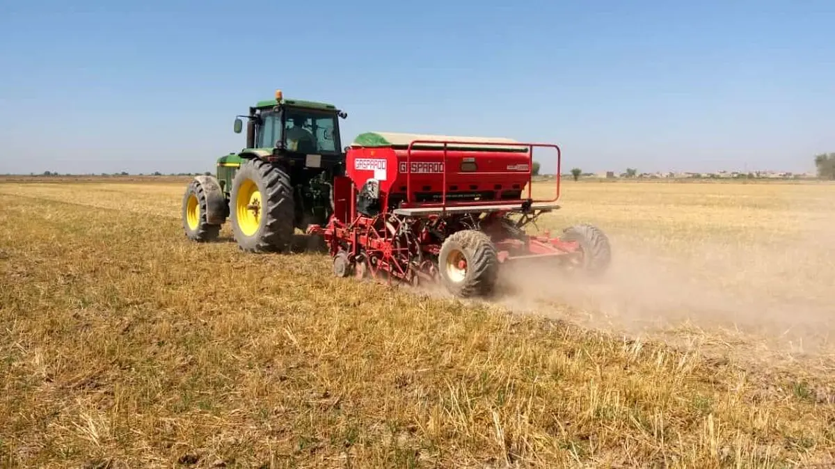 کشت مستقیم برنج برای نخستین بار در دزفول انجام شد