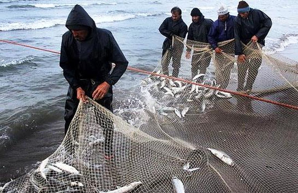 صید ۳۹۲ تن ماهی استخوانی در گیلان