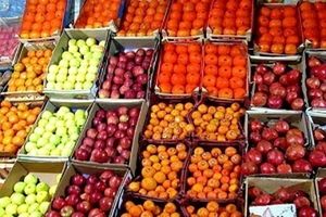 جزئیات قیمت انواع میوه درآستانه یلدا/ پیش بینی افزایش قیمت نداریم