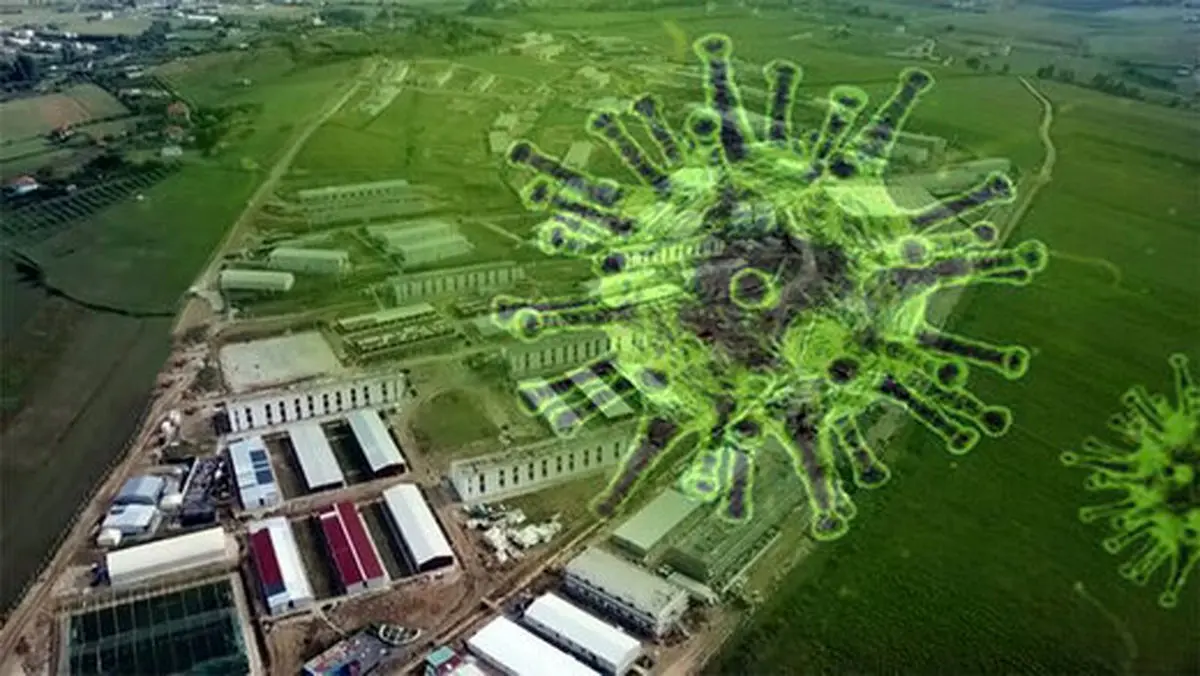 وقتی کمپ منافقین به سردخانه اجساد کرونایی تبدیل می‌شود