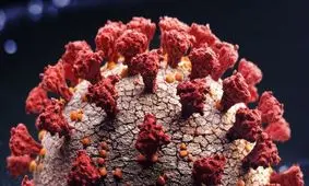 گونه جدیدی از کرونا در انگلیس شناسایی شد