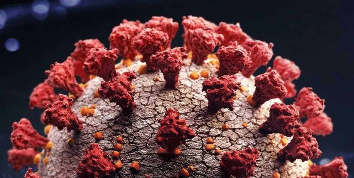 گونه جدیدی از کرونا در انگلیس شناسایی شد