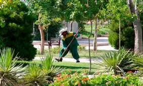 بهسازی بیش از 60 هزار متر مربع فضای سبز در بندرعباس