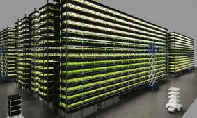 ساخت یک مزرعه عمودی در دانمارک با توان تأمین همه نیاز سبزیجات کشور