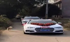 واکنش عجیب سگ وفادار به ازدواج صاحبش/ ویدئو