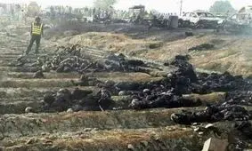 فاجعه در واژگونی تانکر سوخت / 123 کشته و صد مجروح در پاکستان