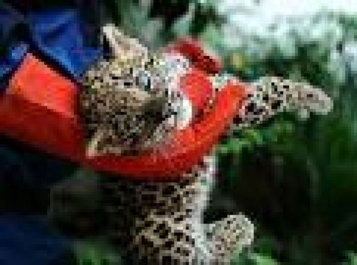 هیات رسیدگی به تخلفات اداری با متخلفان پرونده هیرکان برخورد میکند