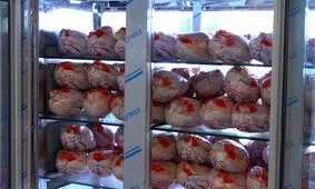ادامه روند تدریجی کاهش قیمت مرغ تازه در اهواز