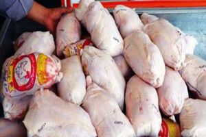توزیع ۲۳۸ تن گوشت مرغ در بیش از ۹۲ نقطه شهر ارومیه