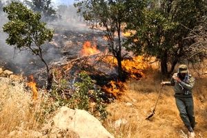 فرمانده یگان حفاظت سازمان جنگل‌ها در گفتگو با خبرفوری:30 درصد از آتش سوزی ها عمدی است/ سوختن 1200 هکتار از منابع طبیعی در سه ماه گذشته