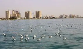 راز تمساح چیتگر فاش شد / پای یک ماهی عجیب در میان است