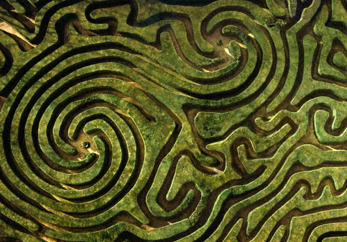 تست هوش/ زیر ۳۰ ثانیه خودرو را از مسیر درست خارج کنید