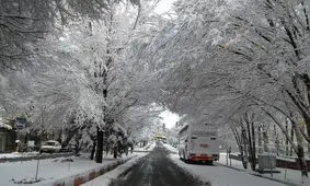 بارش برف پاییزی در آذربایجان شرقی به روایت تصویر/ عکس