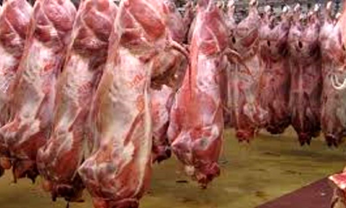 اختلاف ۶۰ درصدی قیمت گوشت از دامداری تا بازار