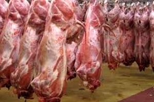 اختلاف ۶۰ درصدی قیمت گوشت از دامداری تا بازار