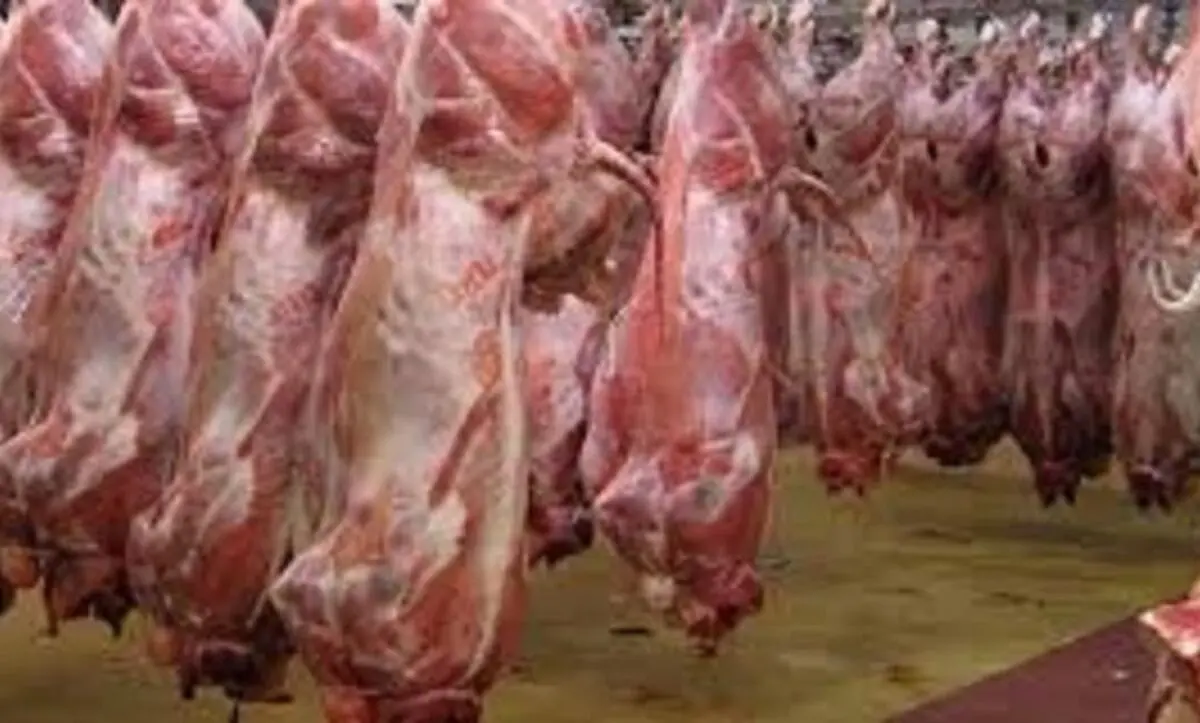 اختلاف ۶۰ درصدی قیمت گوشت از دامداری تا بازار
