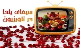 یلدای تلویزیون زیر نور ستاره ها / کدام چهره در کدام شبکه به میدان می رود؟