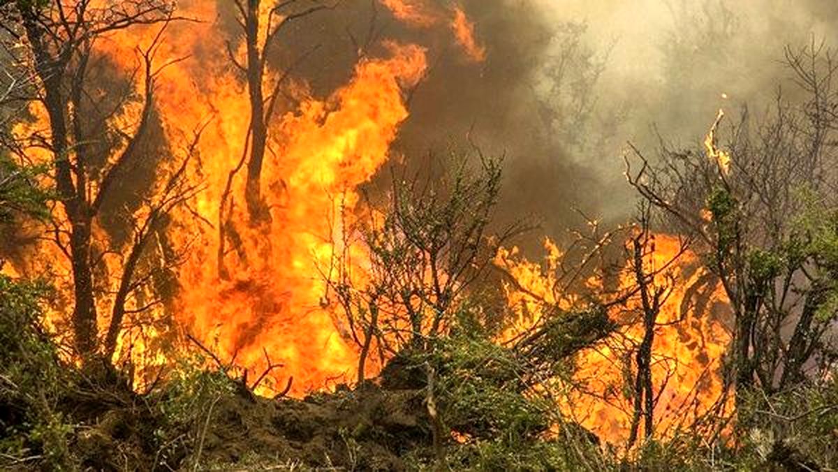 خطر آتش‌سوزی در جنگل‌های گیلان/ مسافران مسائل ایمنی را رعایت کنند
