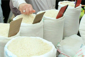 تلاش بازار برنج مازندران برای خروج از رکود با کاهش قیمت