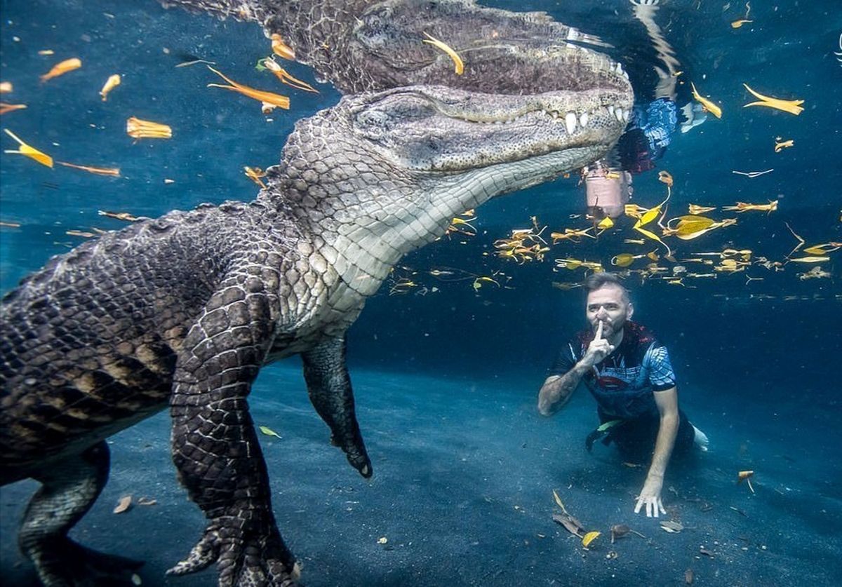 خیره کننده‌ترین عکس‌های حیات وحش سال ۲۰۲۰