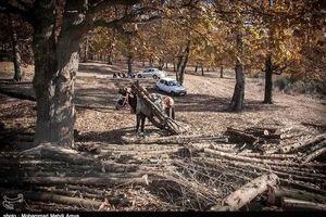 اقدامات جدید برای مقابله با بحران ریزگردها