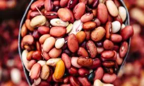 پیشگیری از ابتلا به سرطان با مصرف حبوبات