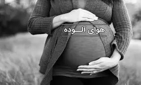آلودگی هوا چه آسیبب‌هایی به زنان باردار می‎زند؟/ اینفوگرافی