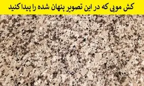 معما: اجسام پنهان شده در این تصاویر را پیدا کنید