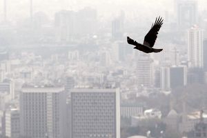 روحانی یا جهانگیری؛ مخالف تعطیلی تهران بخاطر آلودگی هوا