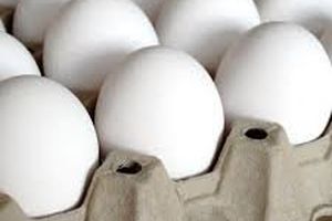 بازار تخم مرغ به زودی تنظیم می شود/ کاهش قیمت ها در راه است