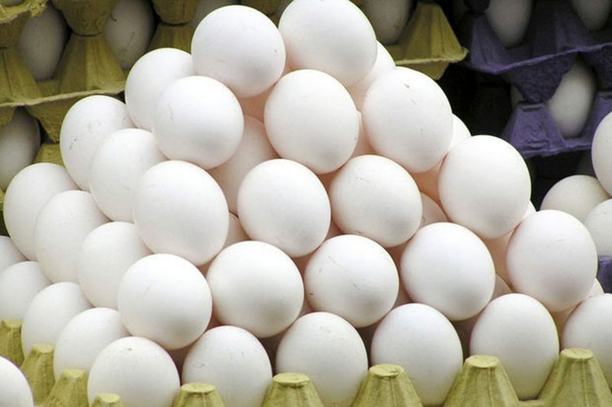 مشکلات بازار در تأمین روغن و تخم‌مرغ / برخورد با واحدهای خرد فایده ندارد