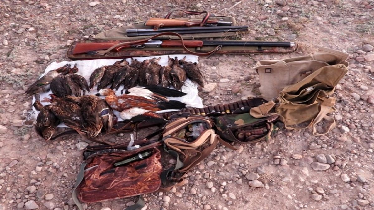 شکارچیان متخلف در شهرستان نیر دستگیر شدند