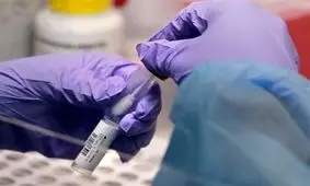 موردی از کرونای انگلیسی در کردستان مشاهده نشده است