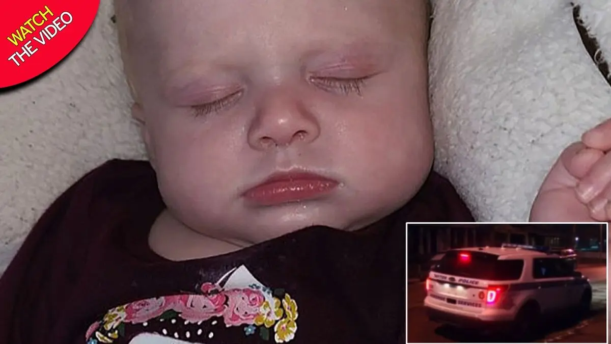 نوزادی که توسط سگ خانگی خفه شد!/ سگ روی نوزاد خوابیده بود