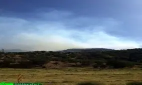 زاگرس می سوزد، اما دلسوز ندارد/عکس