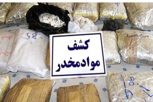 محال است در تهران ۵ دقیقه ای موادمخدر پیدا شود