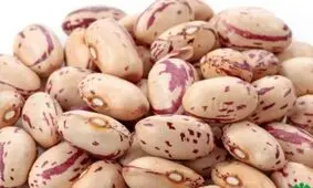 چرا بهتر است لوبیا را جایگزین گوشت قرمز کنیم؟