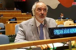 ابراز تاسف دمشق از تبدیل سازمان منع تسلیحات شیمیایی به ابزار دست کشورهای متخاصم
