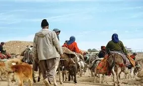 ۴۳۰ میلیارد ریال برای معیشت جامعه عشایری ایلام هزینه شد